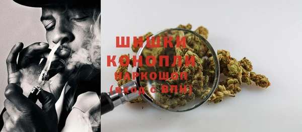 бутират Лагань