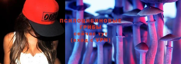 бутират Лагань